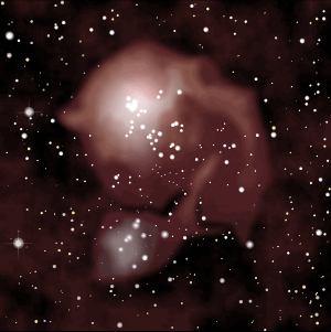 The Fly Nebula in Auriga